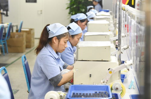 袁州區 產品出海勢頭勁，企業生產倉儲忙